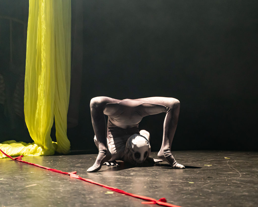 Contorsion